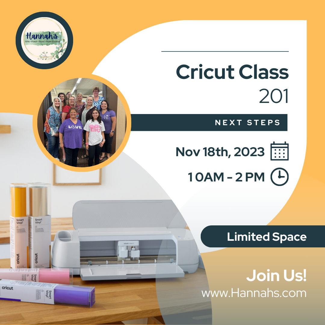 Cricut class 201
