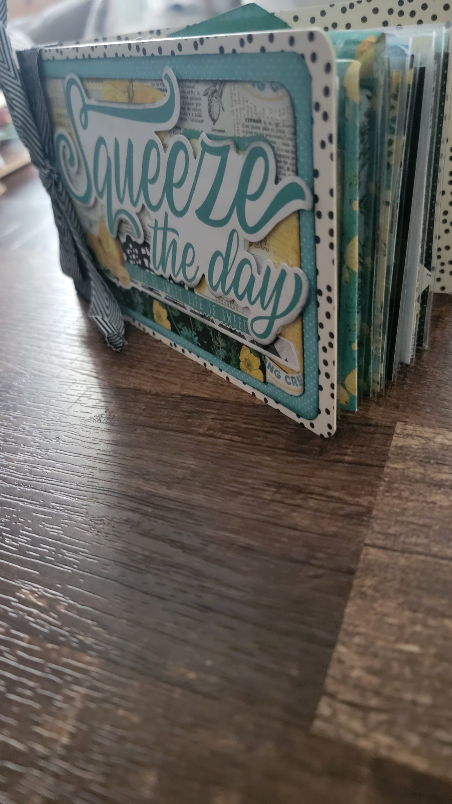 Squeeze The Day assembled flip book