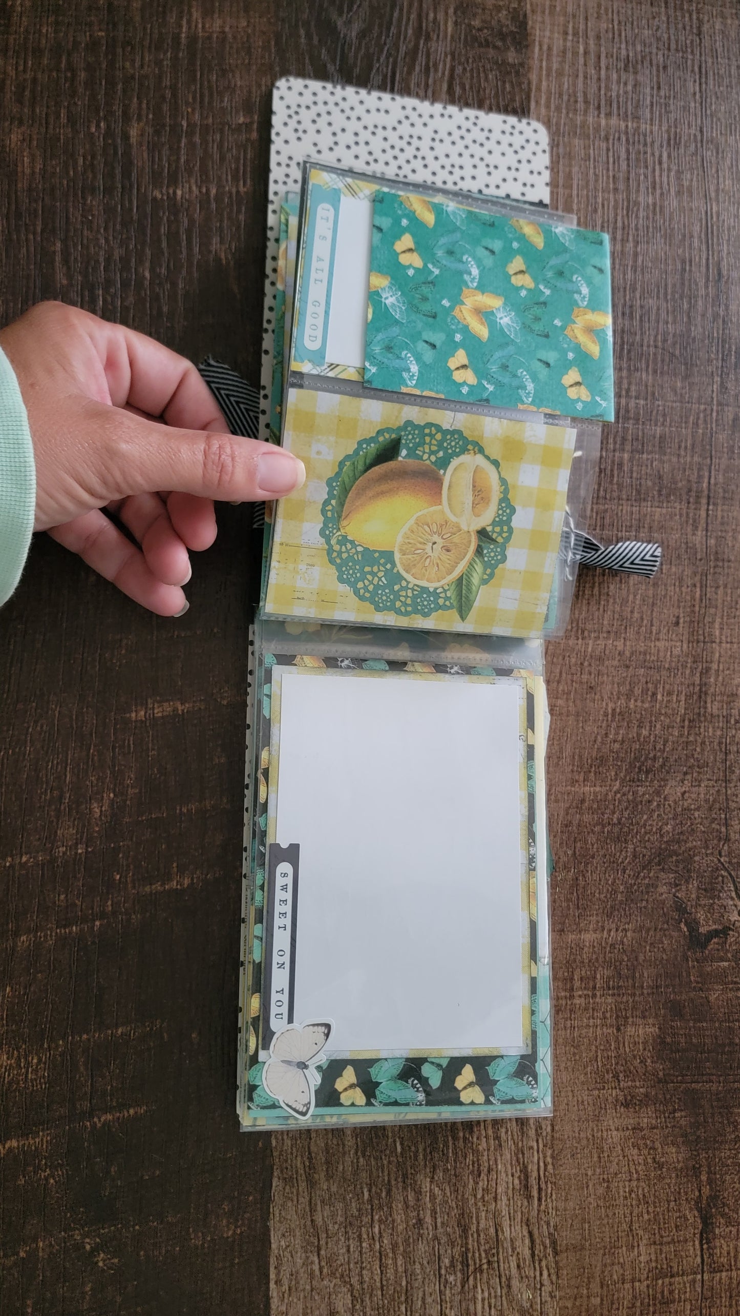 Squeeze The Day assembled flip book