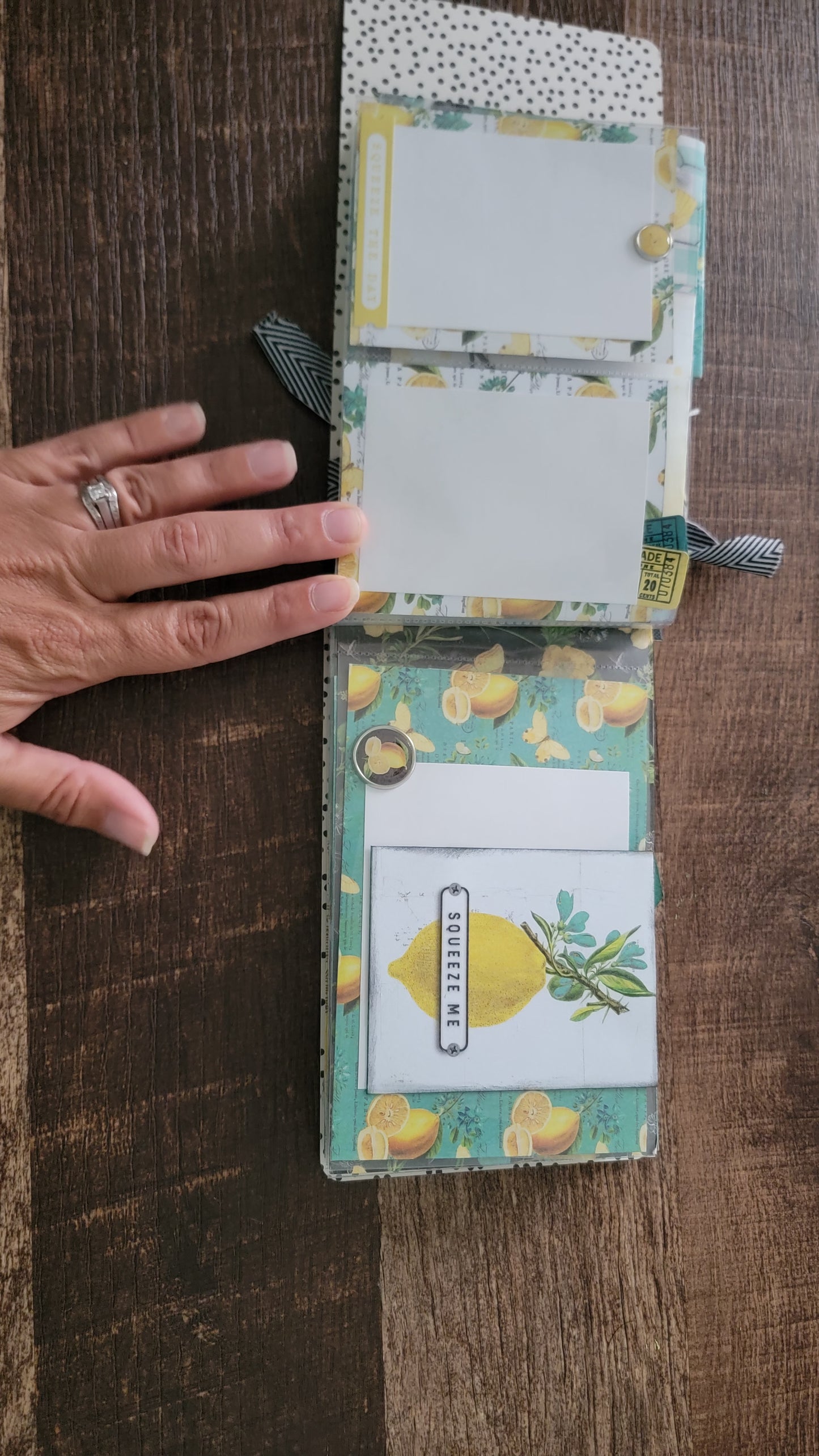 Squeeze The Day assembled flip book