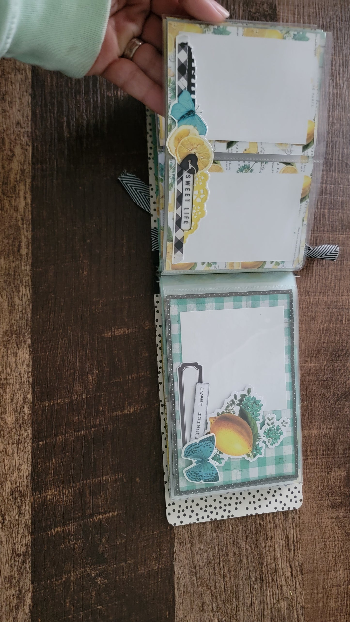 Squeeze The Day assembled flip book