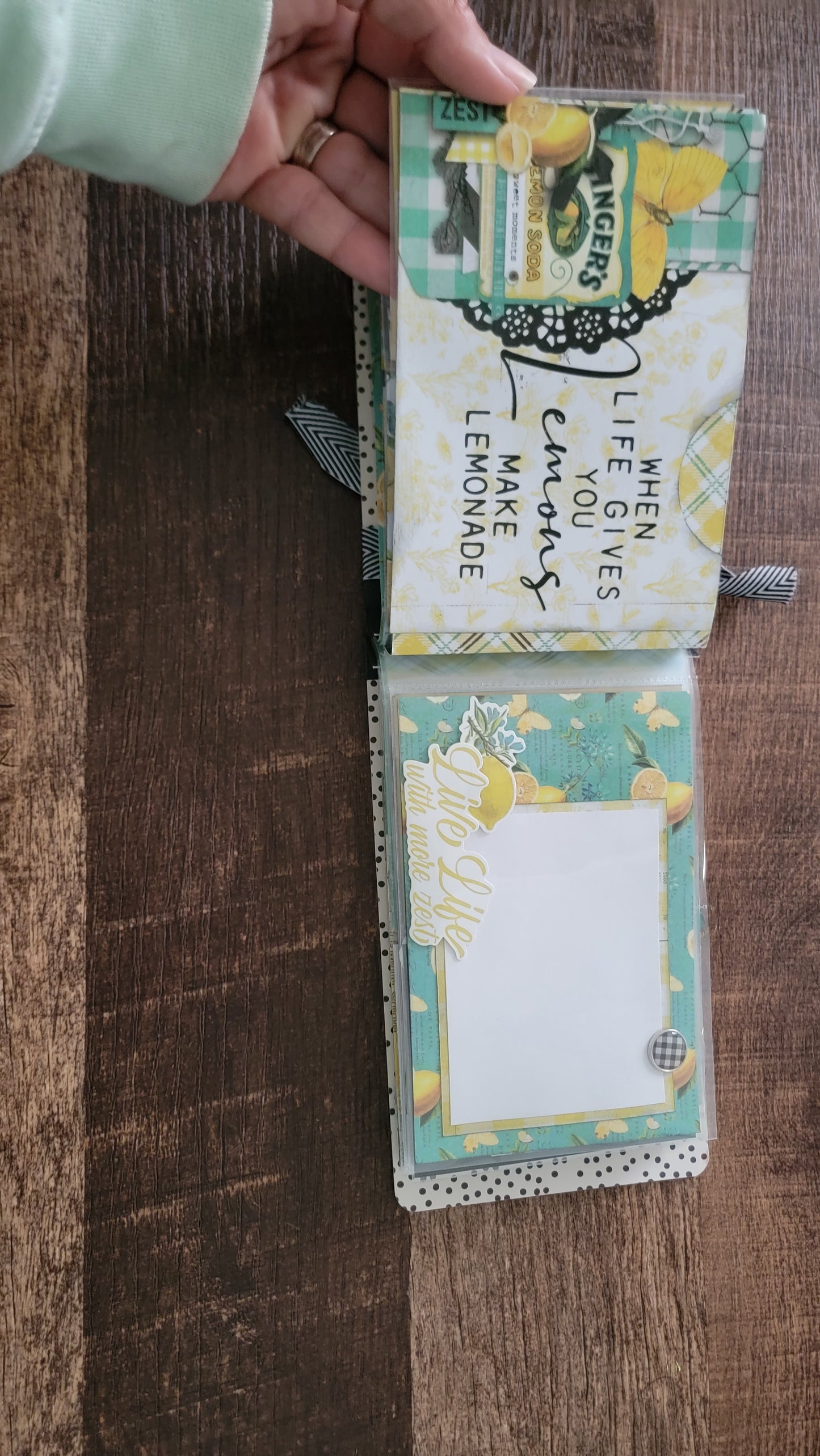 Squeeze The Day assembled flip book
