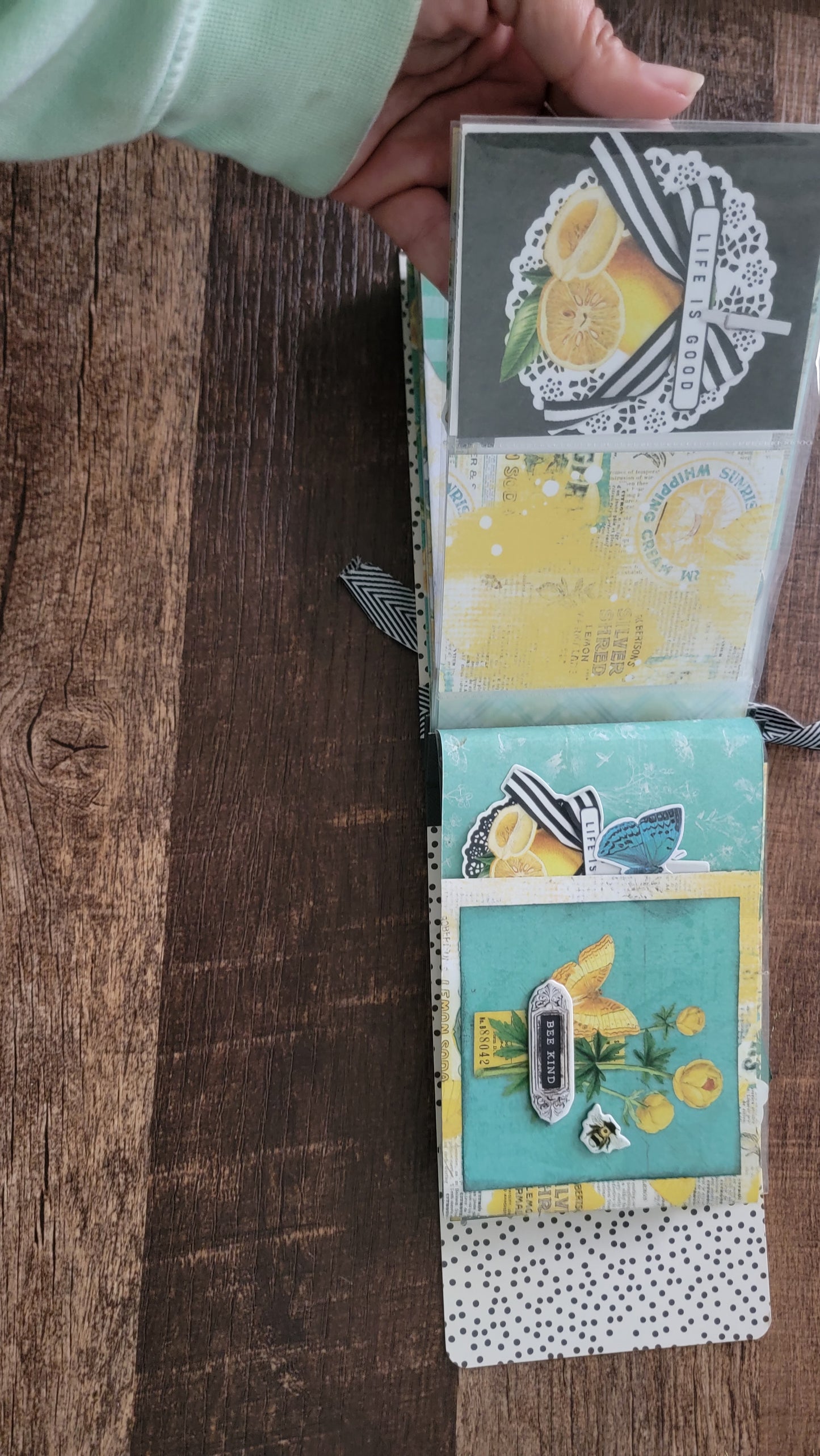 Squeeze The Day assembled flip book