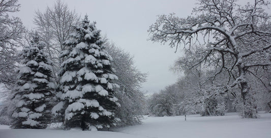 Mother Nature at Work
