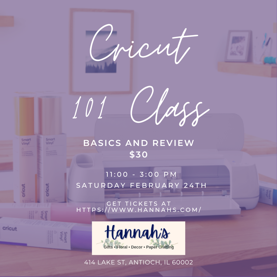Cricut 101 class 2/24