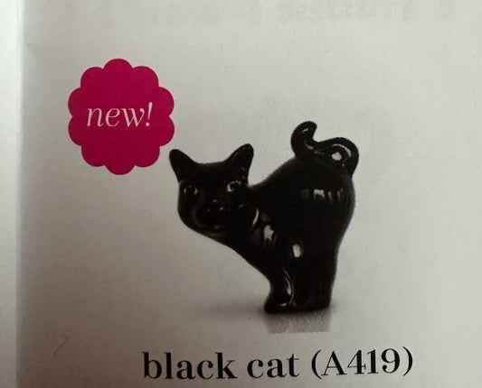Black cat